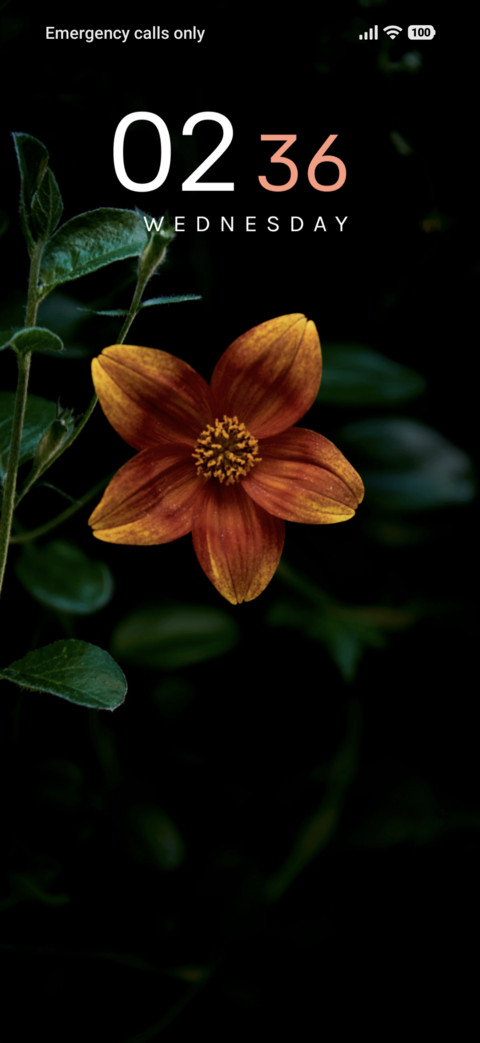 Amber Bloom screenshot