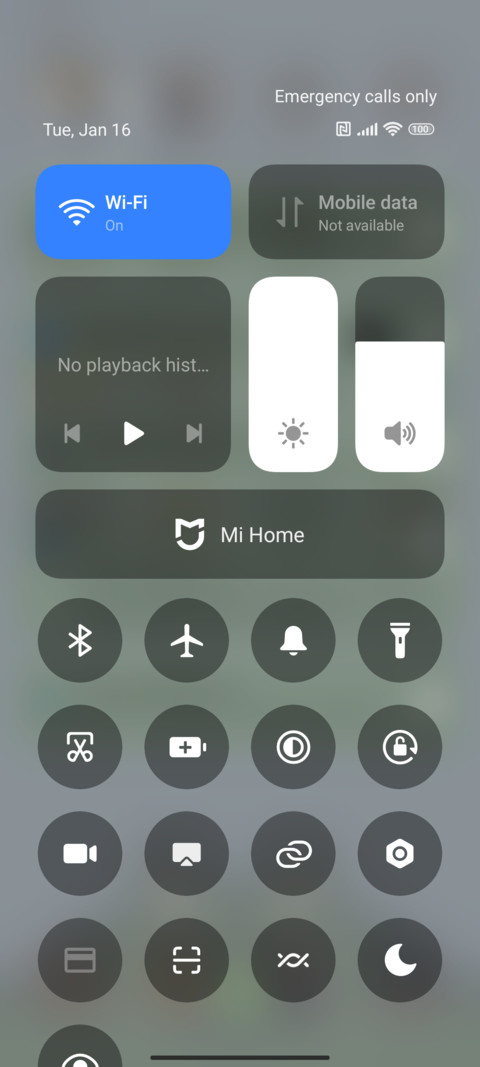 Fresh Little Frog screenshot