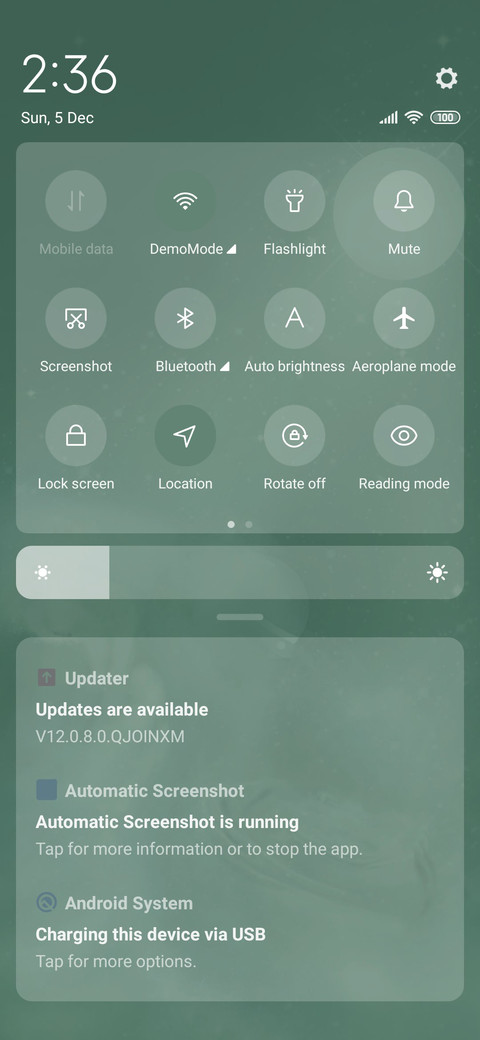 Starry sky green screenshot