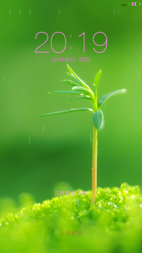 小草青青 screenshot