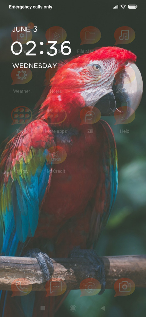 MACAWS_DWM19 screenshot
