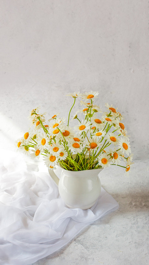 Bouquet of daisies on a light background screenshot