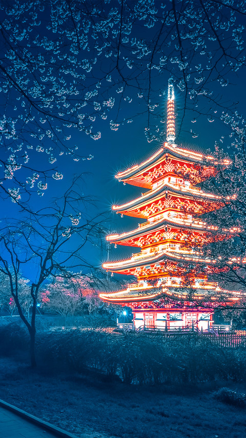 Night view of Wuhan Cherry Garden's Five Towers screenshot
