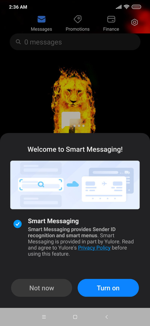 Lion King_DWM20 screenshot
