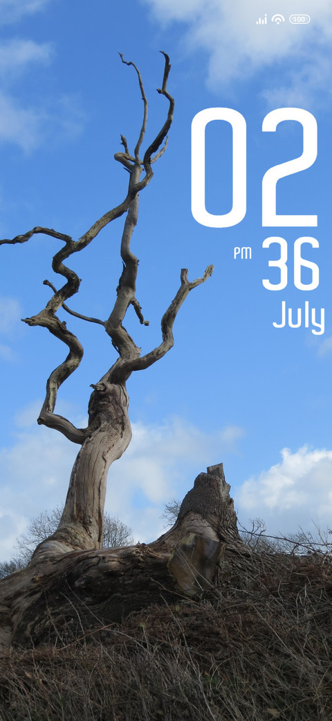 Dead Tree screenshot