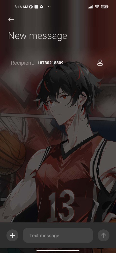 Basketball Junior screenshot