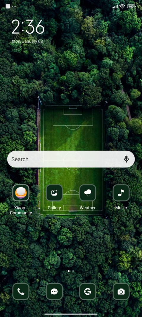 Green Football screenshot