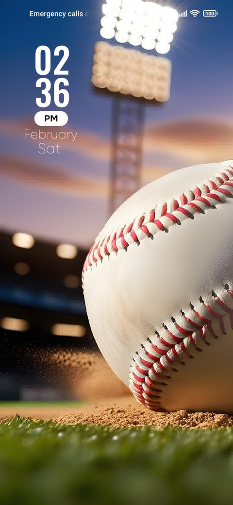 Baseball Ground screenshot