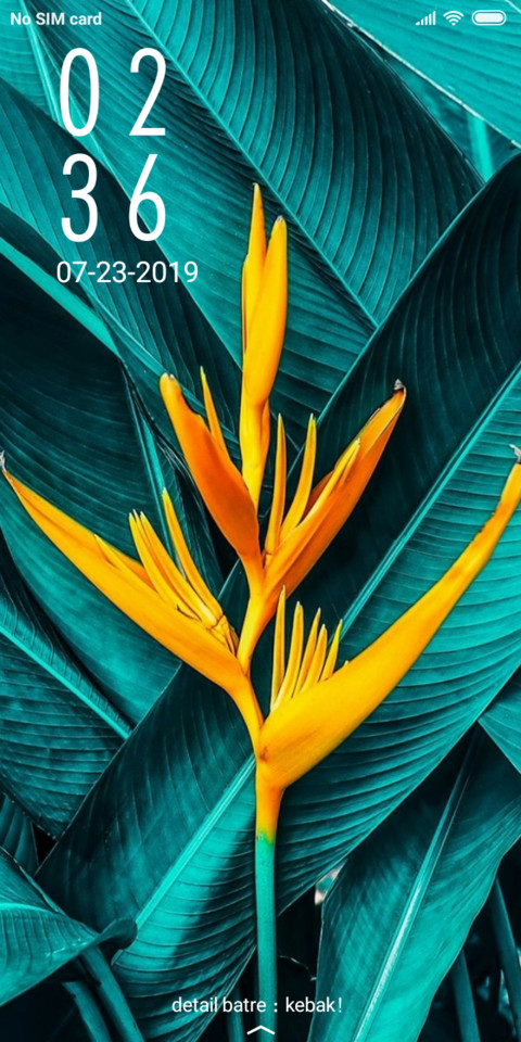 Greensoft screenshot
