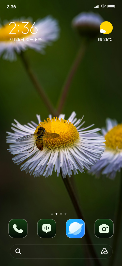 Bee Daisy screenshot