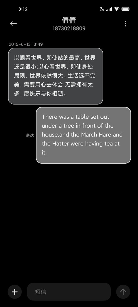 极简雅致黑 screenshot