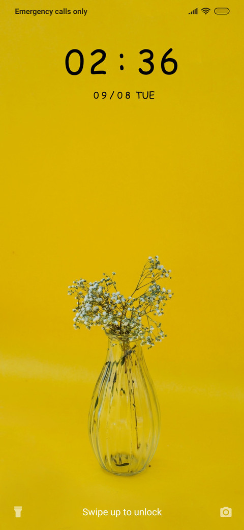 Yellow Flowers_3MDS screenshot