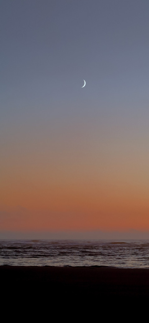 收集浪漫 screenshot