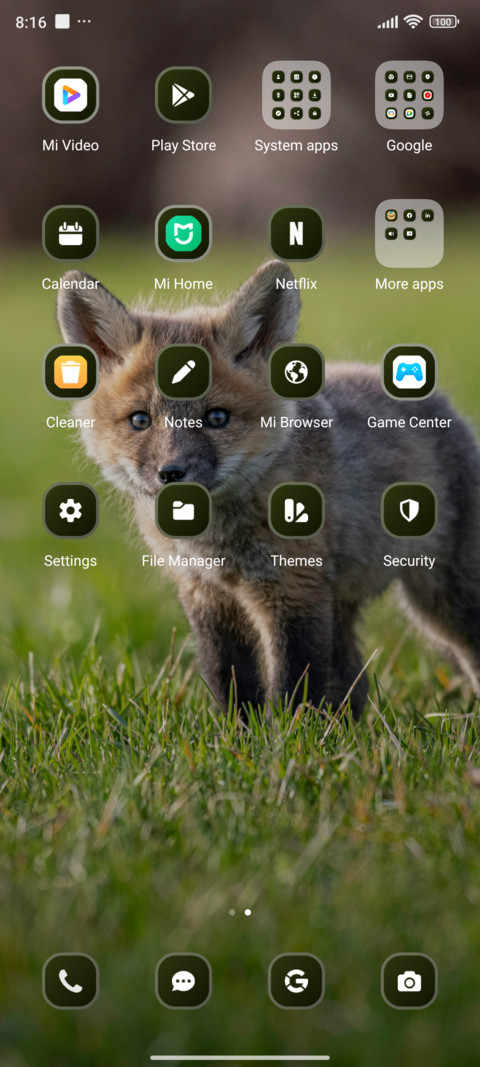 Baby Fox screenshot