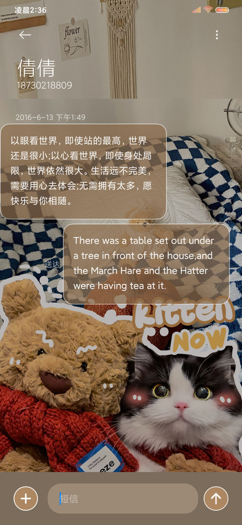可爱甜心小猫 screenshot