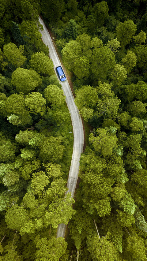 Why are self driving tours popular 29 screenshot
