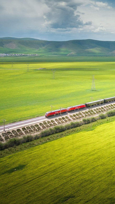 Train travel in Menyuan oil rape flower sea in Qinghai screenshot