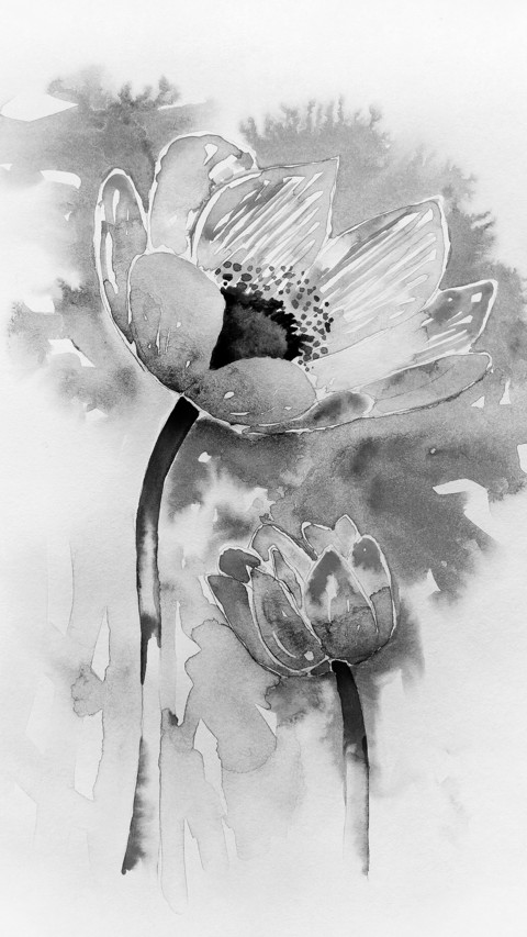 Lotus in ink screenshot