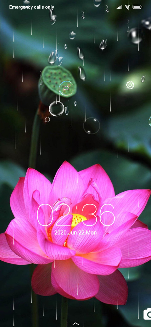 Lotus flower red screenshot