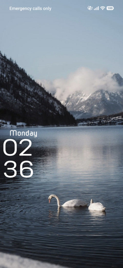 Wild Wood screenshot