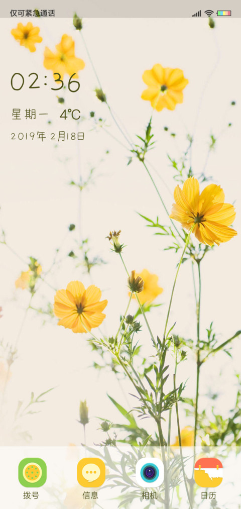 简约 小雏菊 screenshot