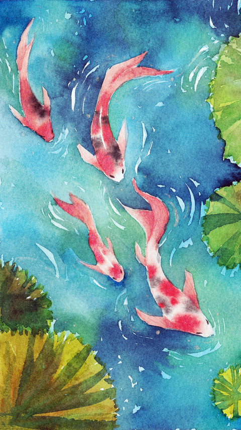 Lucky Koi Fish Illustration screenshot