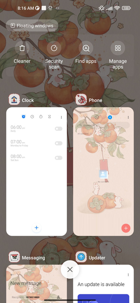 Persimmon Ruyi screenshot
