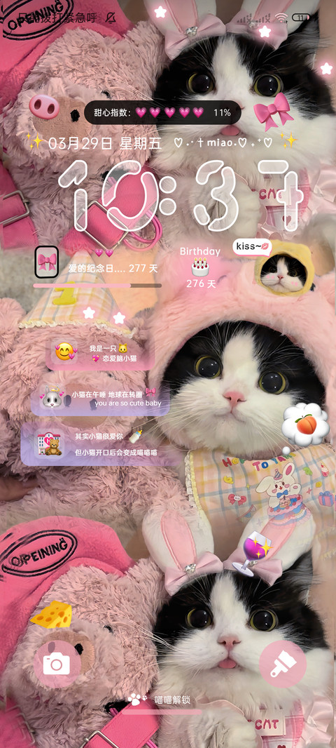 可爱猪咪告白换图 screenshot