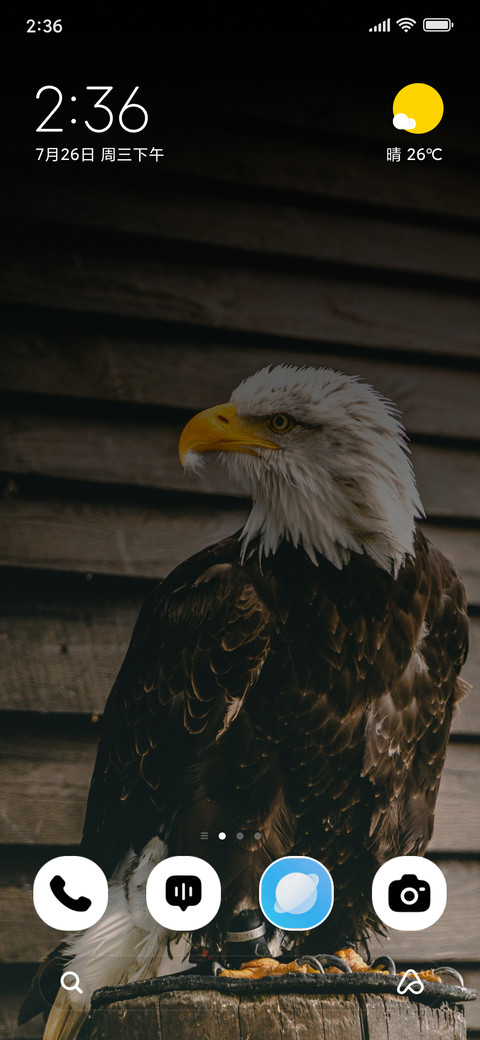 Dark Eagle screenshot