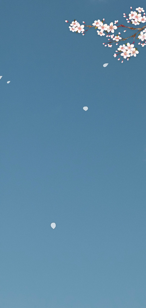 白色相簿 screenshot
