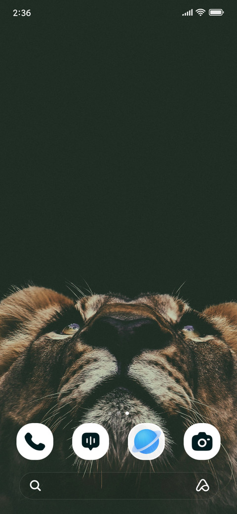 Lion Gaze screenshot