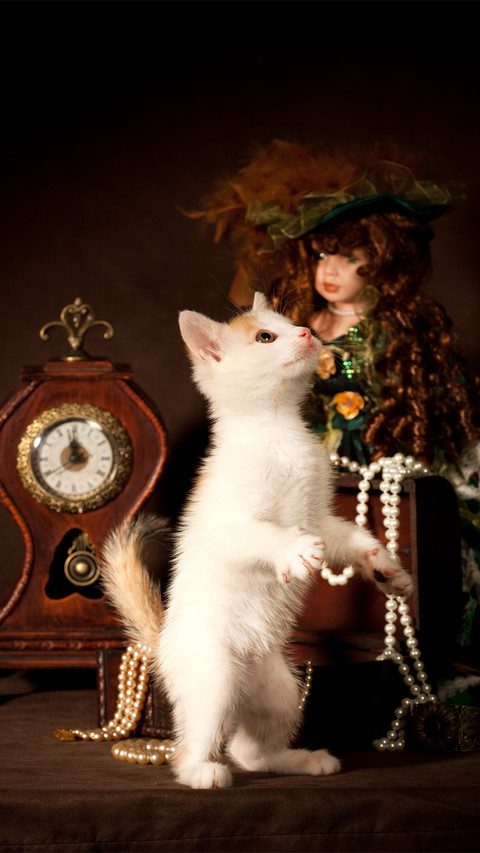 Cute cat-05 screenshot