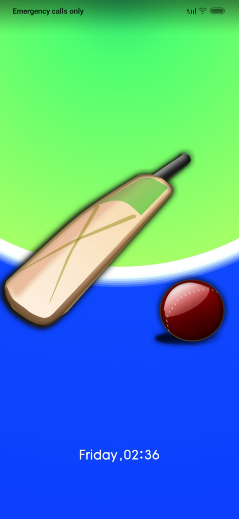 Bowled_Cricket screenshot