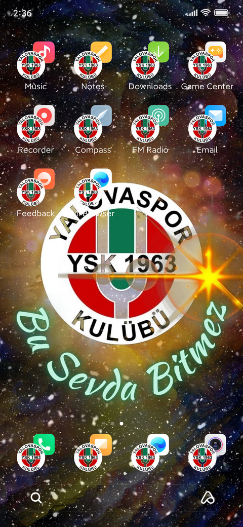 YALOVA SPOR screenshot
