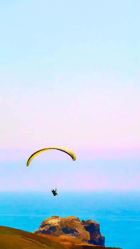 Lone paraglider above cliff in Sonoma Coast State Park screenshot