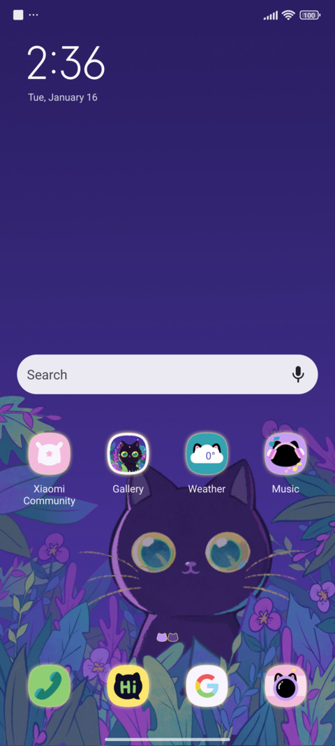black cat screenshot