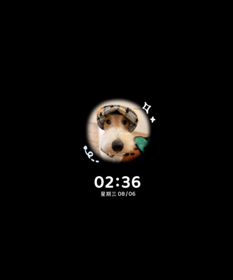 ins小狗开门系我 screenshot