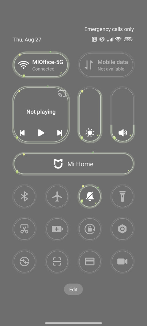 Green screenshot