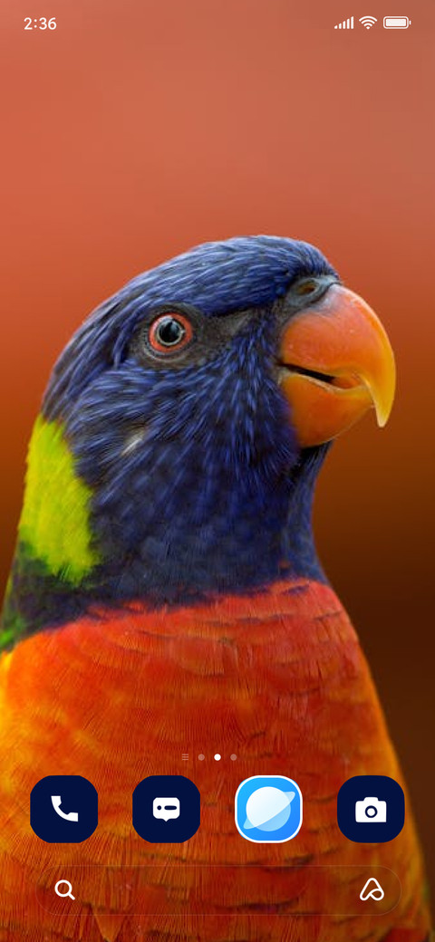 colorful bird screenshot