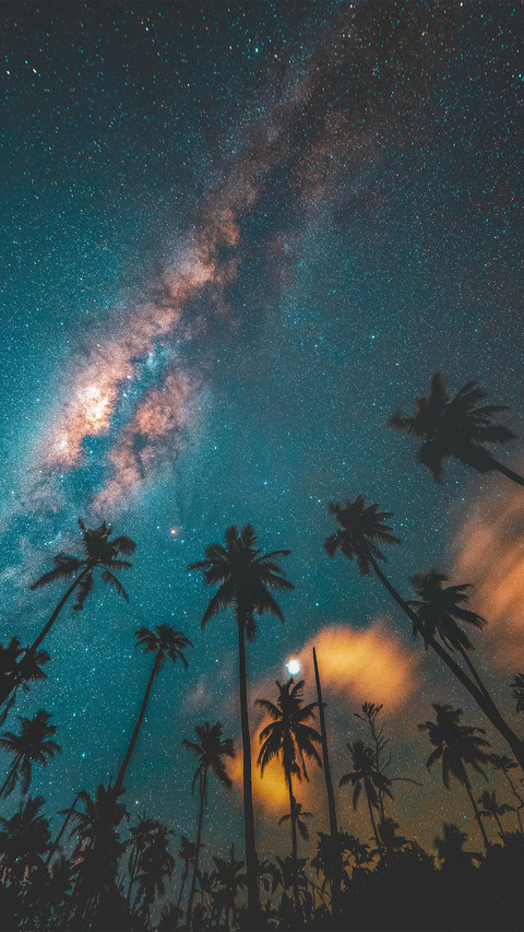 The milky way at night in the maldives screenshot
