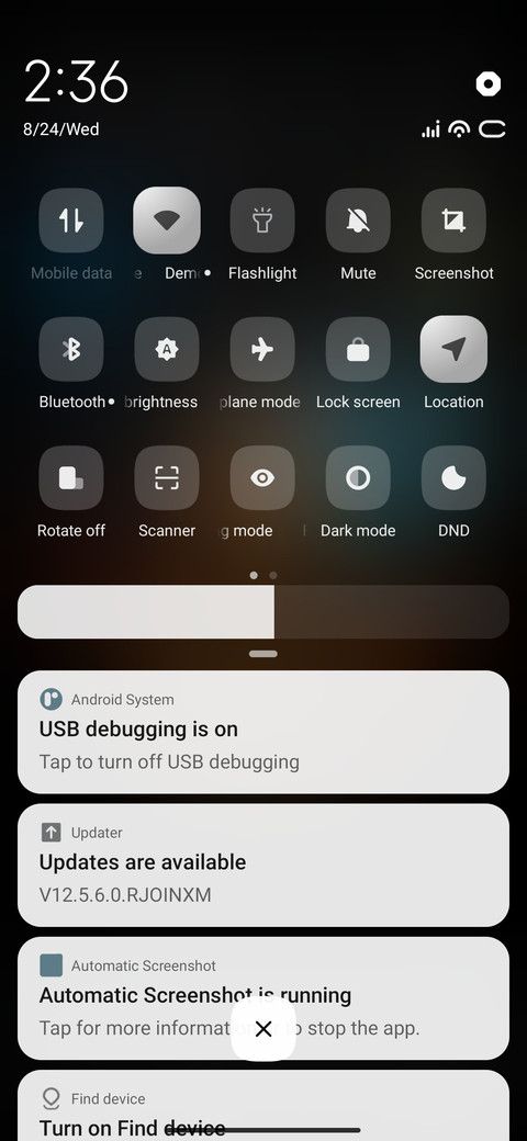Ganesh Ji screenshot