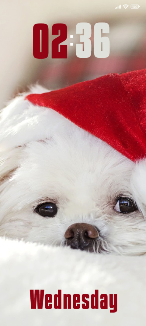 Puppy screenshot