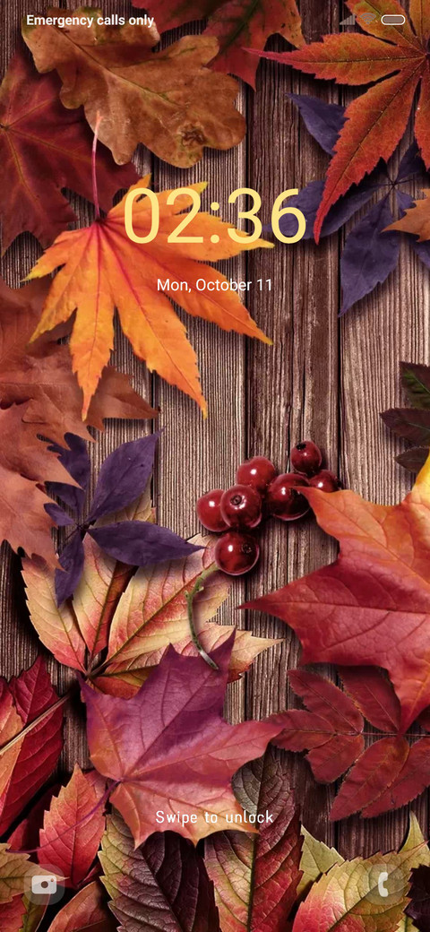 Autumn scenery screenshot