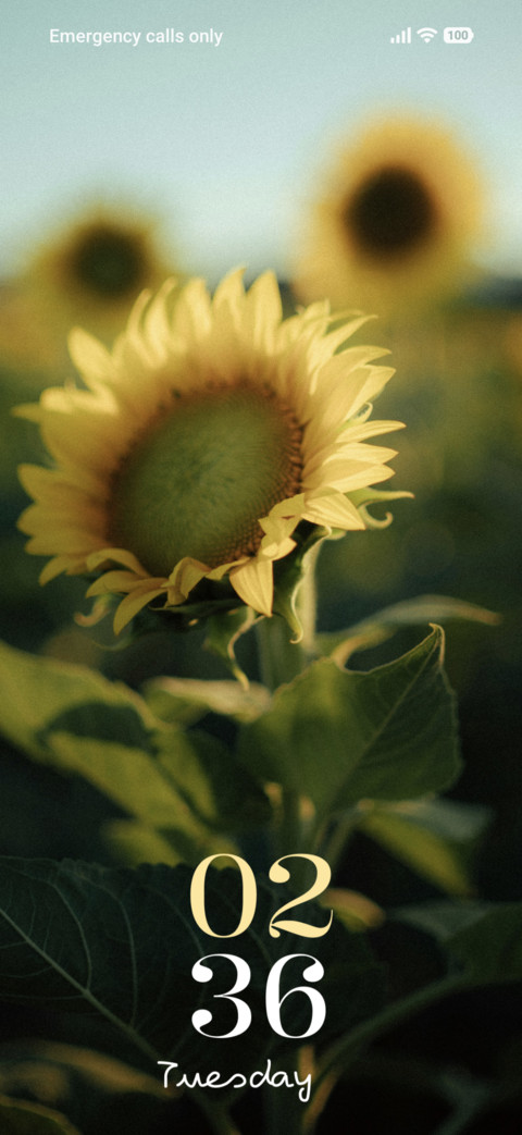 Sun Glory screenshot