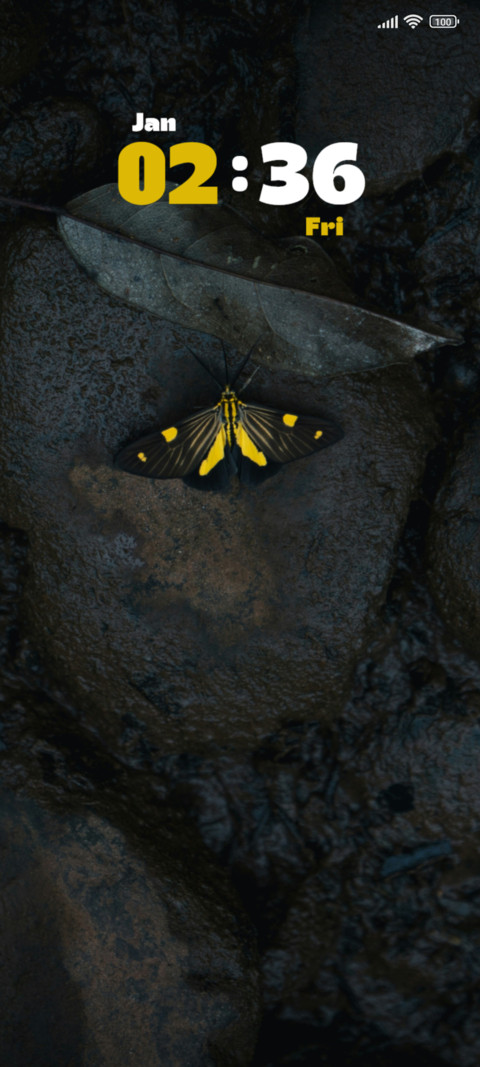 Butterfly screenshot
