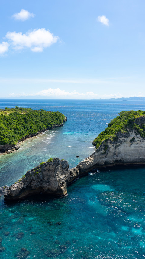 Ocean's Whisper, Echoing Amidst Vegetation and Rocks screenshot