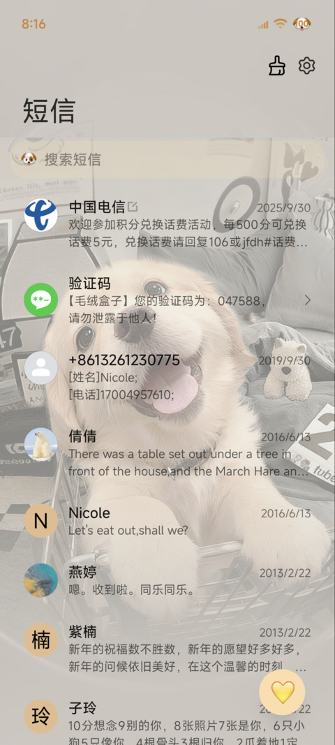 3D小金毛 自定义 screenshot