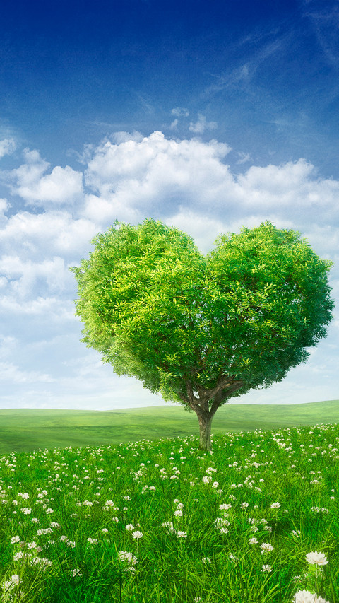 Green eye protection prairie wallpaper screenshot