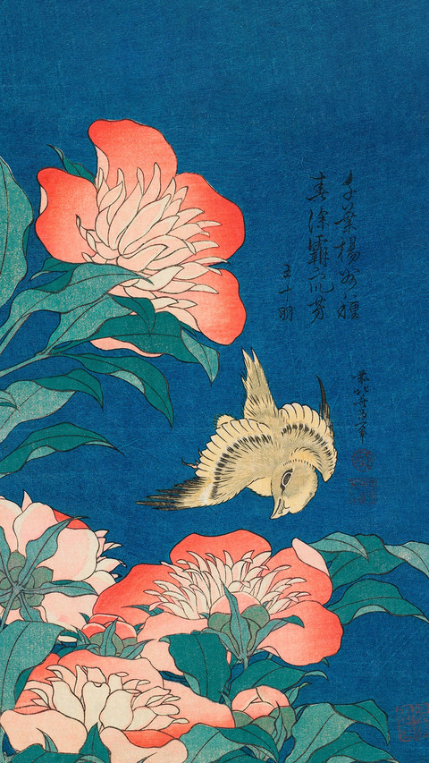 日本花鸟绘的东方诗意 screenshot