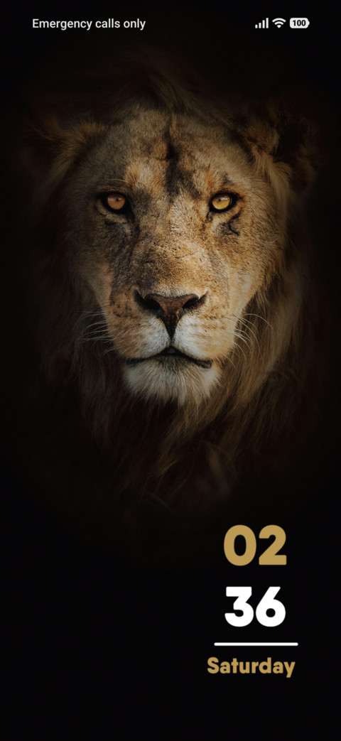Lion Face screenshot